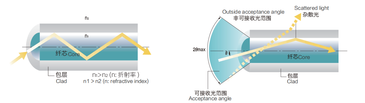 光纤结构（图1）